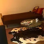 Le Cocoon Cache Avec Parking 公寓 *