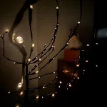 公寓 Le Cocoon Cache Avec Parking 萨尔格米纳