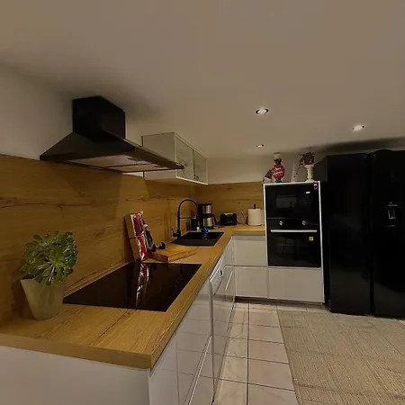 Le Cocoon Cache Avec Piscine Parking,Terrasse Au Calme Appartement Tres Frais ! * Sarreguemines