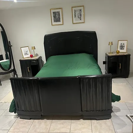 公寓 Le Cocoon Cache Avec Parking 萨尔格米纳