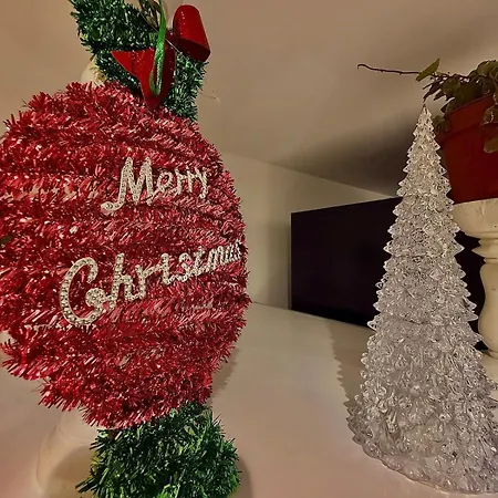 Le Cocoon Caché Avec Parking Appartement Sarreguemines