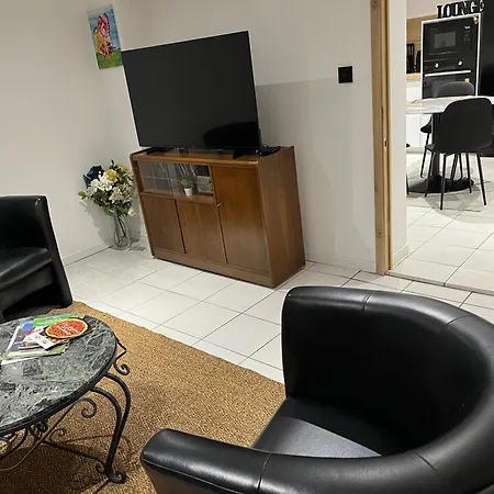 Le Cocoon Cache Avec Piscine Parking,Terrasse Au Calme Appartement Tres Frais ! * Sarreguemines