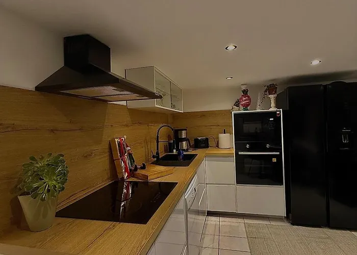 Le Cocoon Cache Avec Parking * Sarreguemines