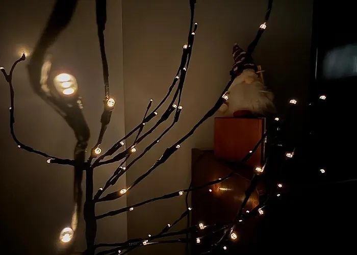 Apartment Le Cocoon Cache Avec Parking Sarreguemines